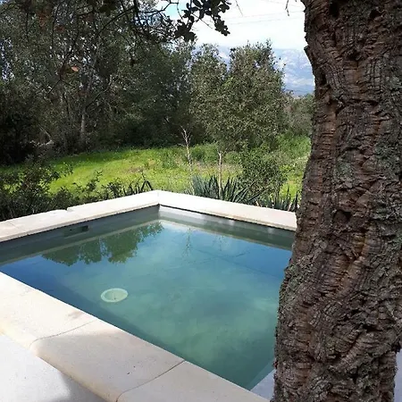 Casa Gattu Сasa de vacaciones