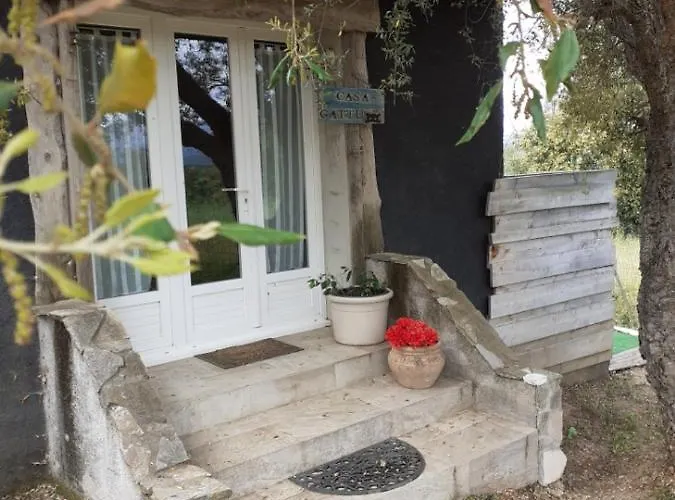 Casa Gattu *