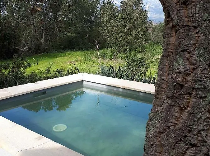 Casa Gattu Holiday home