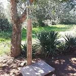 Casa Gattu