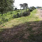 Casa Gattu Nyaraló