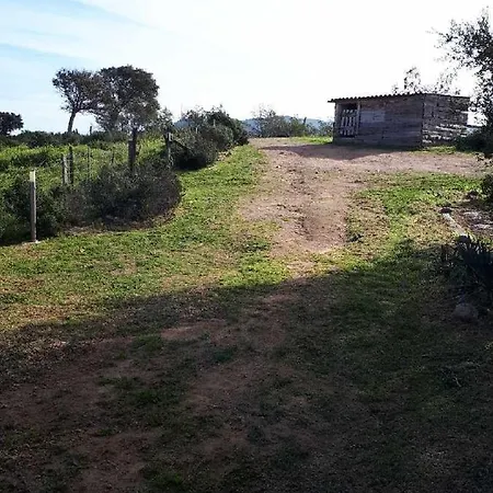 Casa Gattu