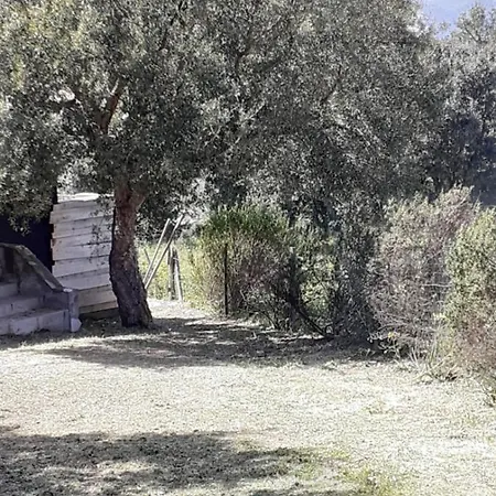 Casa Gattu