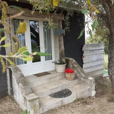 Casa Gattu *