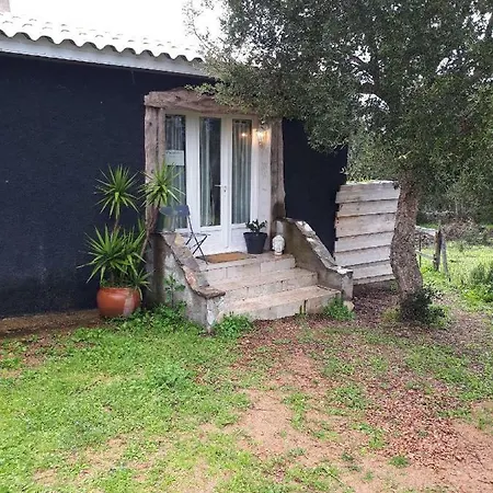 Casa Gattu Nyaraló