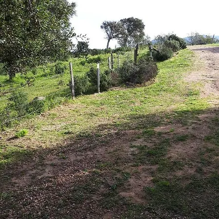 Casa Gattu Nyaraló