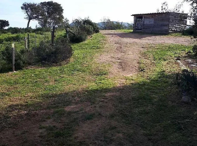 Casa Gattu