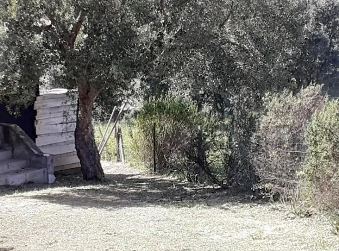 Casa Gattu