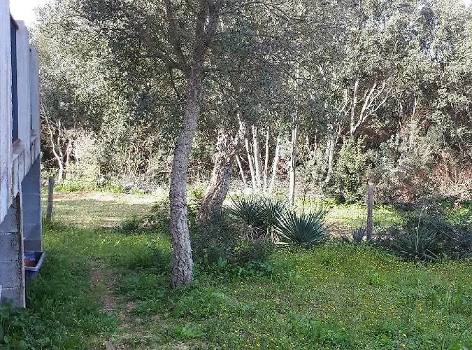 Casa Gattu Hébergement de vacances Porto-Vecchio (Corsica)